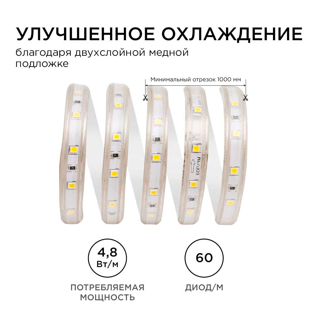 фото светодиодная влагозащищенная лента apeyron 4,8w/m 60led/m 3528smd холодный белый 5m 10-04 | 220svet.ru