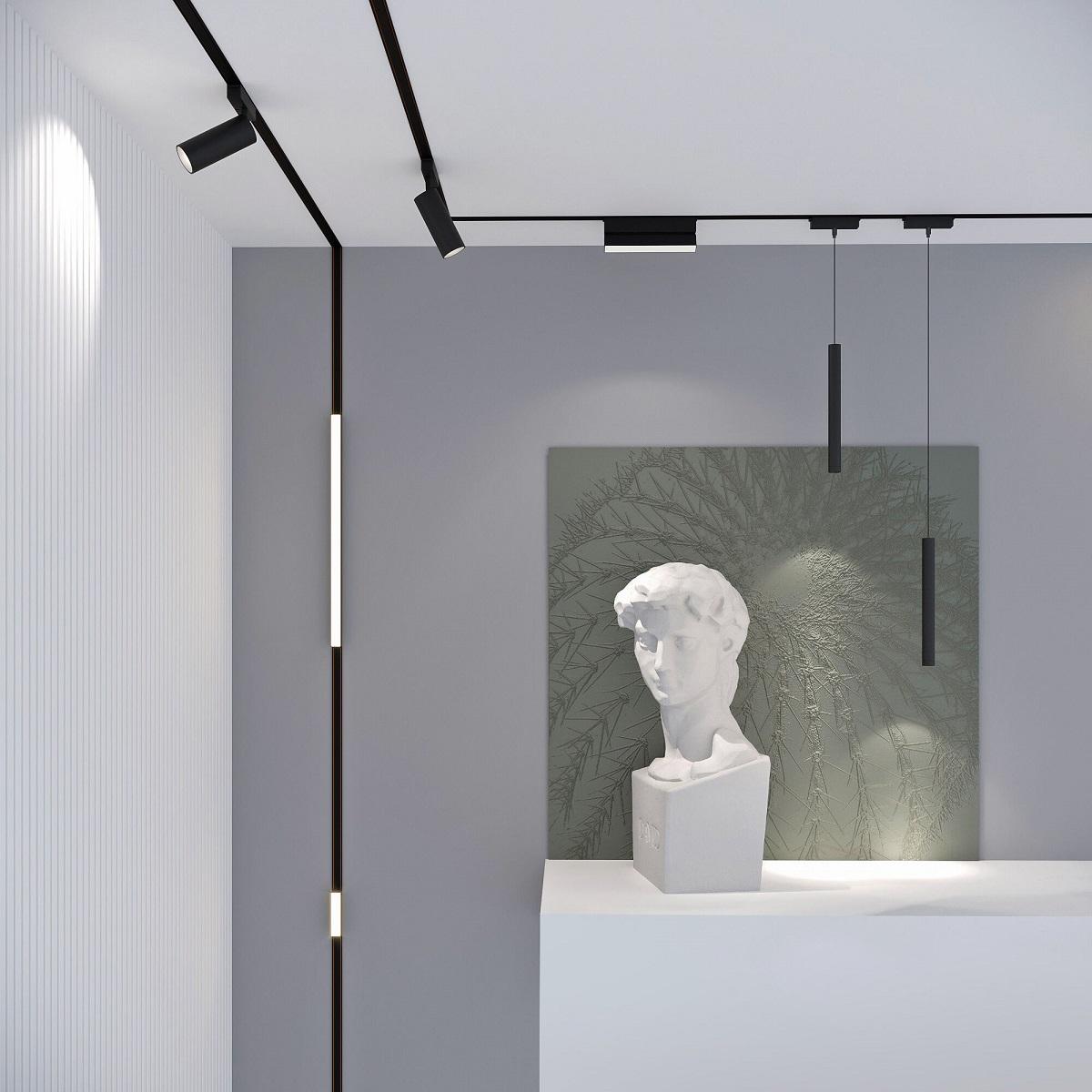 фото трековый магнитный светодиодный светильник elektrostandard vision 85089/01 черный a063694 | 220svet.ru