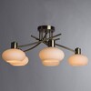 Миниатюра фото потолочная люстра arte lamp 97 a7556pl-5ab | 220svet.ru