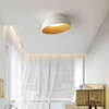 Миниатюра фото потолочный светильник imperium loft bara 223993-23 | 220svet.ru