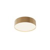 Миниатюра фото потолочный светодиодный светильник maytoni zon c032cl-24w4k-rd-mg | 220svet.ru