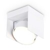 Миниатюра фото потолочный светильник ambrella light tn70841 | 220svet.ru