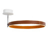 Миниатюра фото потолочный светильник mx18001059-1m coffee/black delight collection | 220svet.ru