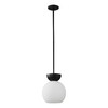 Миниатюра фото подвесной светильник ilamp mono p6079-1 bk+wh | 220svet.ru