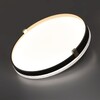 Миниатюра фото настенно-потолочный светильник sonex olidi black 7647/eln белый | 220svet.ru