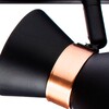 Миниатюра фото спот arte lamp baltimore a1406pl-3bk | 220svet.ru