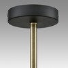 Миниатюра фото потолочная люстра lumion erena 8062/4c черный | 220svet.ru