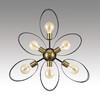 Миниатюра фото потолочная люстра на штанге lumion vivana 8153/6c черный | 220svet.ru