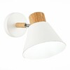 Миниатюра фото спот evoluce buve sle103701-01 | 220svet.ru