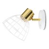 Миниатюра фото спот ambrella light traditional tr8600 | 220svet.ru