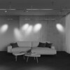 Миниатюра фото трековый магнитный светодиодный светильник maytoni focus led flarity tr144-1-5w4k-w-pt | 220svet.ru