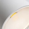Миниатюра фото накладной светильник wertmark wta wta.o02.007.v0.18 | 220svet.ru