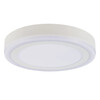 Миниатюра фото потолочный светильник arte lamp antares a7824pl-2wh | 220svet.ru