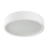 Миниатюра фото настенные потолочные светильники kanlux jasmin 370-w/m 23127 | 220svet.ru