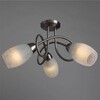 Миниатюра фото потолочная люстра arte lamp mutti a8616pl-3ss | 220svet.ru