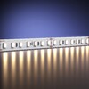 Миниатюра фото светодиодная лента 24в 2835 15вт/м 3000к 5м maytoni ultra 201324 | 220svet.ru