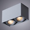 Миниатюра фото потолочный светильник arte lamp pictor a5654pl-2gy | 220svet.ru