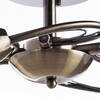 Миниатюра фото потолочная люстра arte lamp 3 a6056pl-5ab | 220svet.ru
