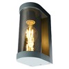 Миниатюра фото садово-парковый светильник feron dh1901 52187 | 220svet.ru