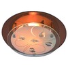 Миниатюра фото потолочный светильник arte lamp a4043pl-1cc | 220svet.ru