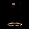 Миниатюра фото подвесной светильник loft it ring 10013l | 220svet.ru