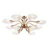 Миниатюра фото потолочная люстра stilfort muschel 2153/05/12p | 220svet.ru