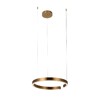 Миниатюра фото подвесной светильник loft it ring 10013m | 220svet.ru