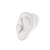 Миниатюра фото статуэтка memorabilia mvsevm ear seletti | 220svet.ru