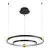 Миниатюра фото подвесной светодиодный светильник divinare amadeo 1123/04 sp-65 | 220svet.ru