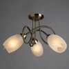 Миниатюра фото потолочная люстра arte lamp mutti a8616pl-3ab | 220svet.ru