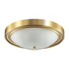 Миниатюра фото настенно-потолочный светильник lumion nina 5259/3c | 220svet.ru