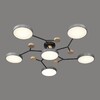 Миниатюра фото потолочная светодиодная люстра velante 446-207-06 | 220svet.ru