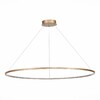 Миниатюра фото подвесной светодиодный светильник st luce st603.243.57 | 220svet.ru